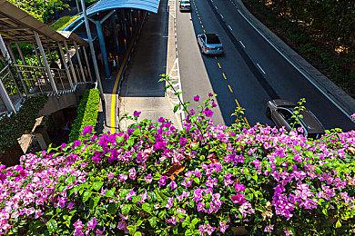 网易MOBA《无尽战区》今日重新开服 接盘守望玩家